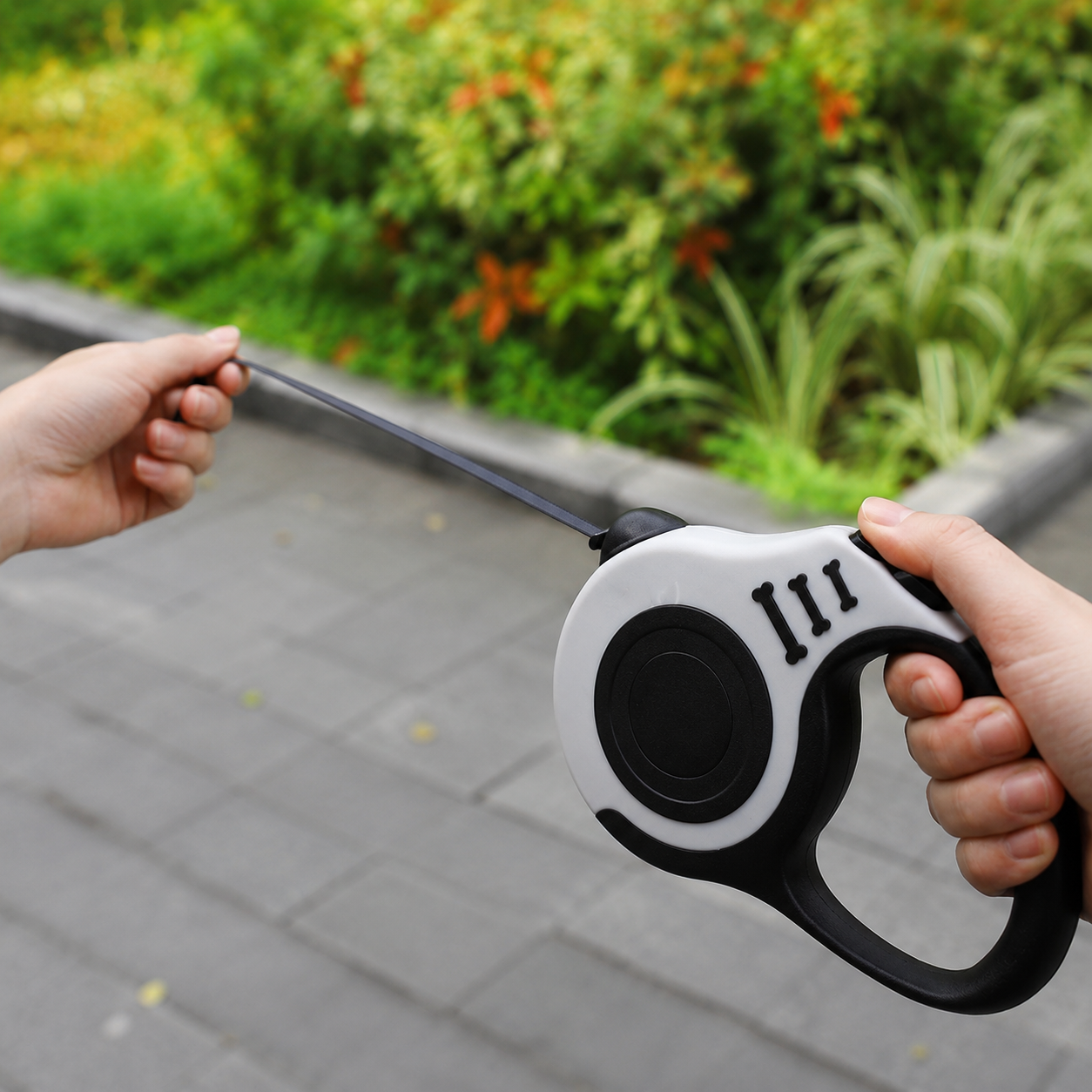 5 Meter Retractable Dog Leash for Small, Medium & Large Dogs