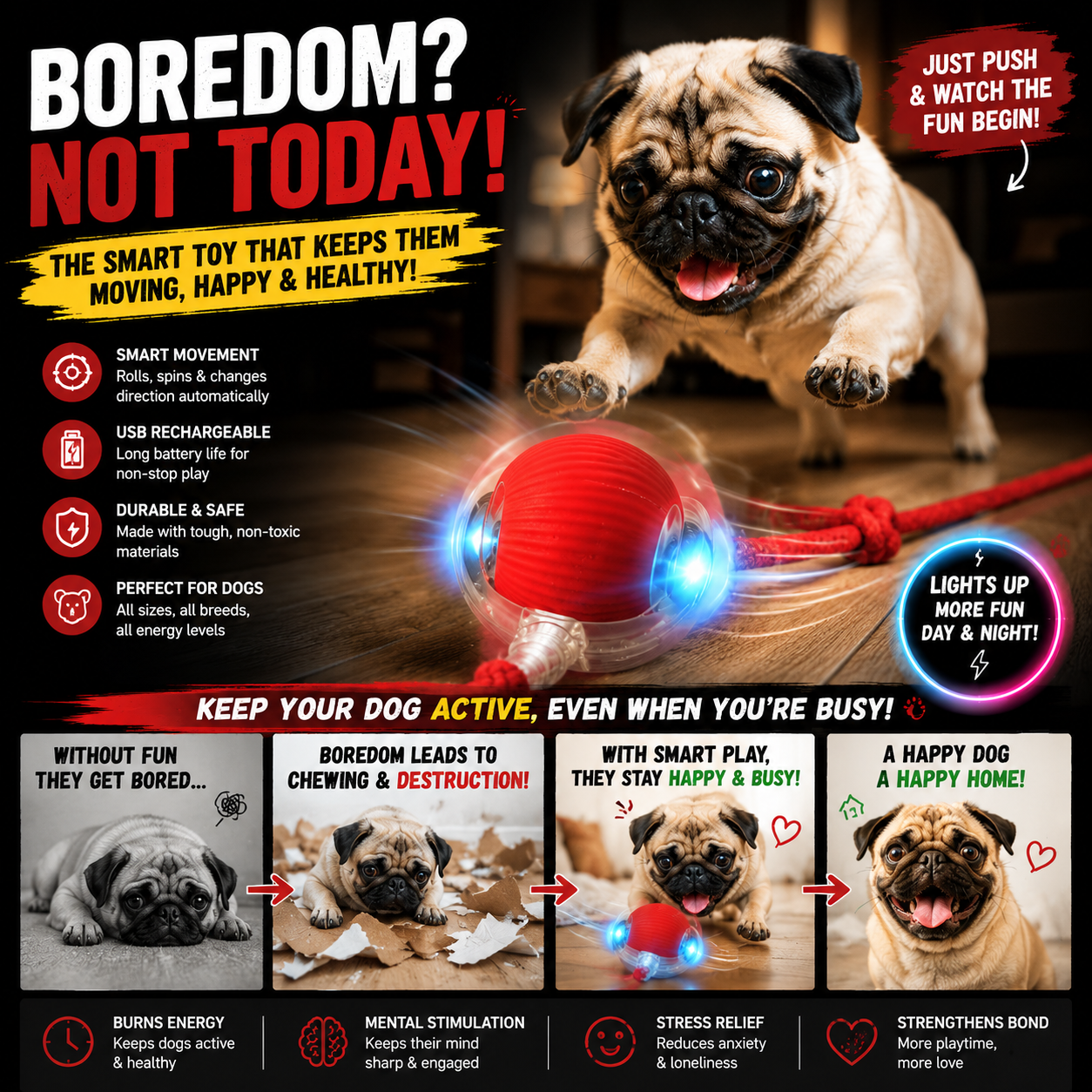 PawVibe Smart Rolling Buddy