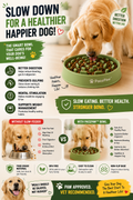 PacePaw Mindful Mealtime System
