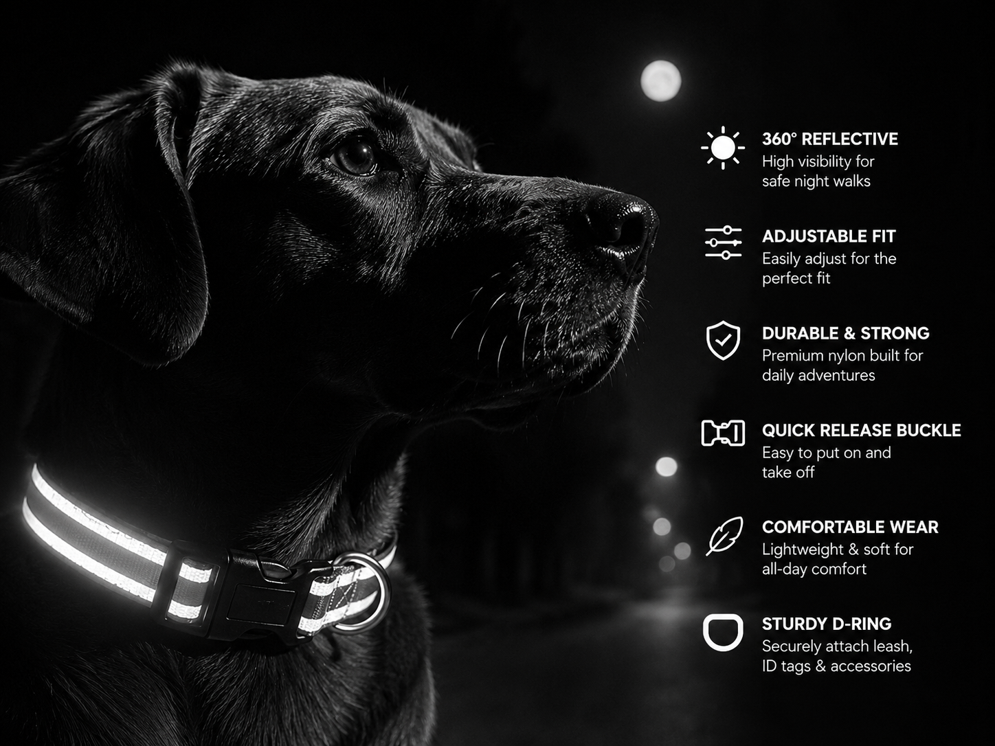 Premium Reflective Safety Dog Collar | Adjustable Nylon Collar for Dogs
