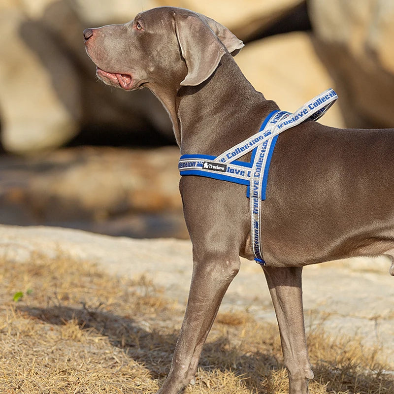 TRUELOVE® No-Pull Neoprene Dog Harness – Padded, Reflective & Escape-Proof