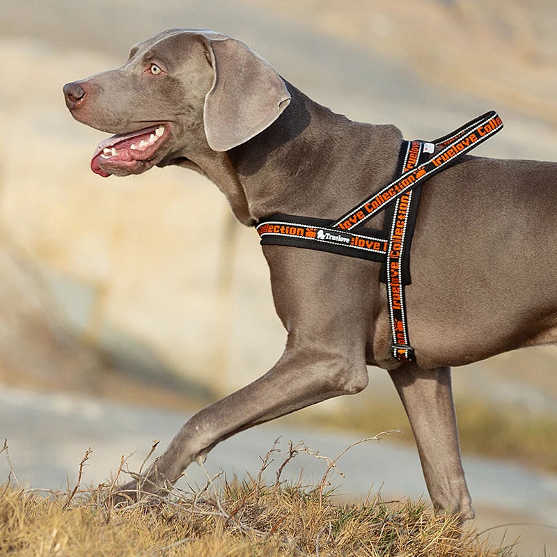 TRUELOVE® No-Pull Neoprene Dog Harness – Padded, Reflective & Escape-Proof