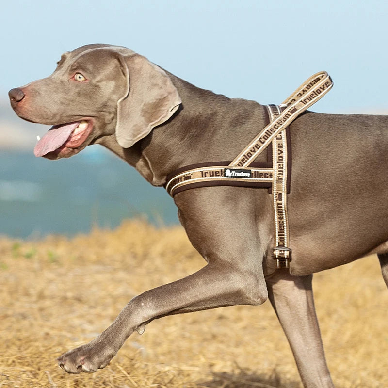 TRUELOVE® No-Pull Neoprene Dog Harness – Padded, Reflective & Escape-Proof