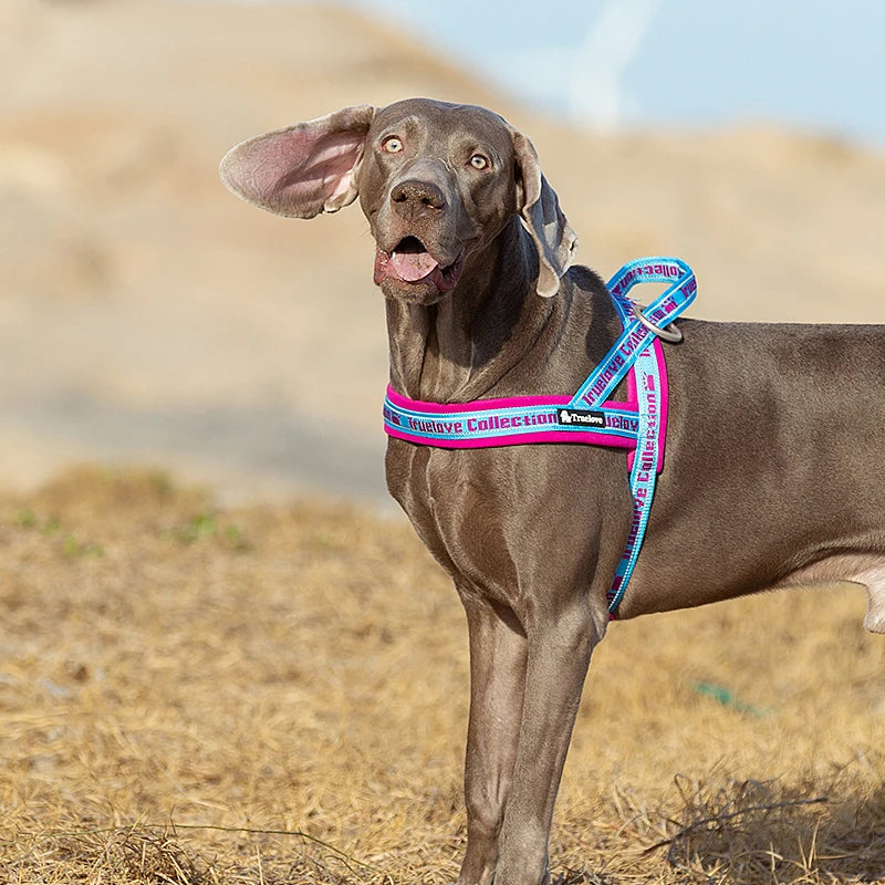 TRUELOVE® No-Pull Neoprene Dog Harness – Padded, Reflective & Escape-Proof