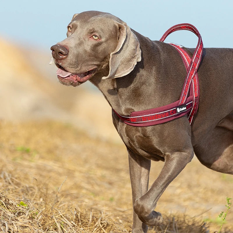 TRUELOVE® No-Pull Neoprene Dog Harness – Padded, Reflective & Escape-Proof