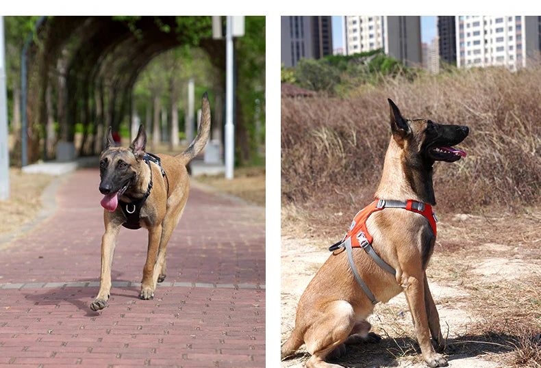 Escape-Proof Tactical Dog Harness with Storage Pocket – Adjustable Training & Outdoor Vest
