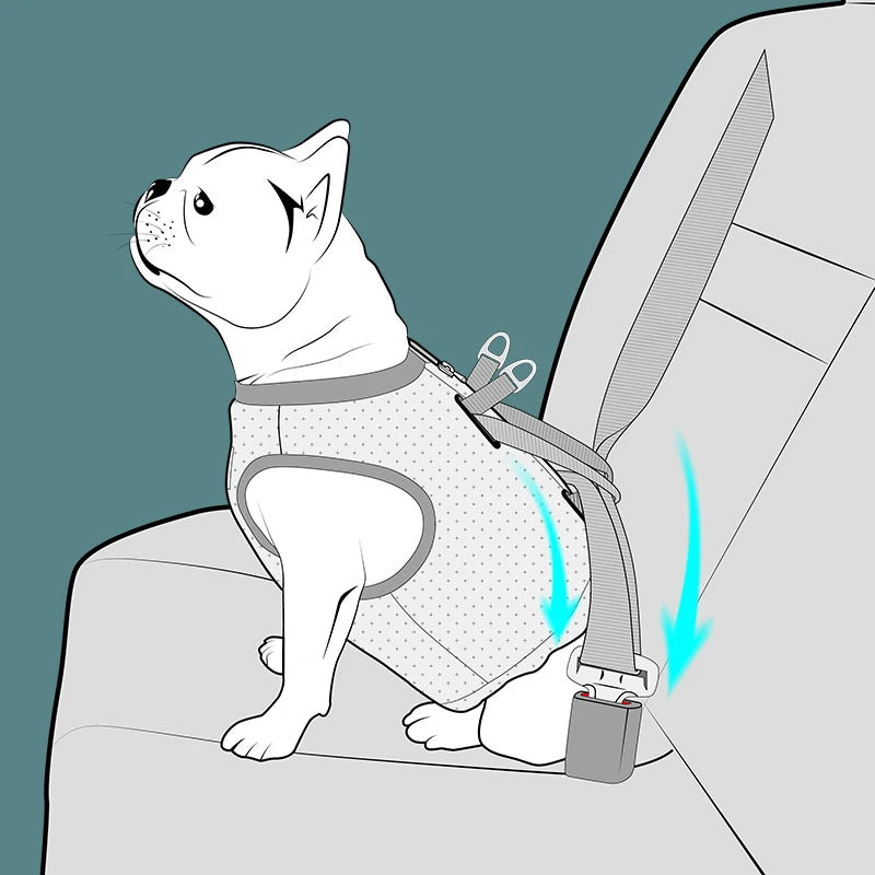Dog Car Safety Harness Vest – Adjustable, Breathable & Crash-Secure Travel Harness