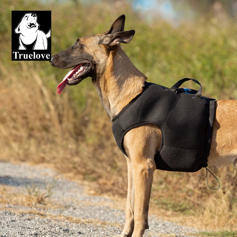 Dog Car Safety Harness Vest – Adjustable, Breathable & Crash-Secure Travel Harness