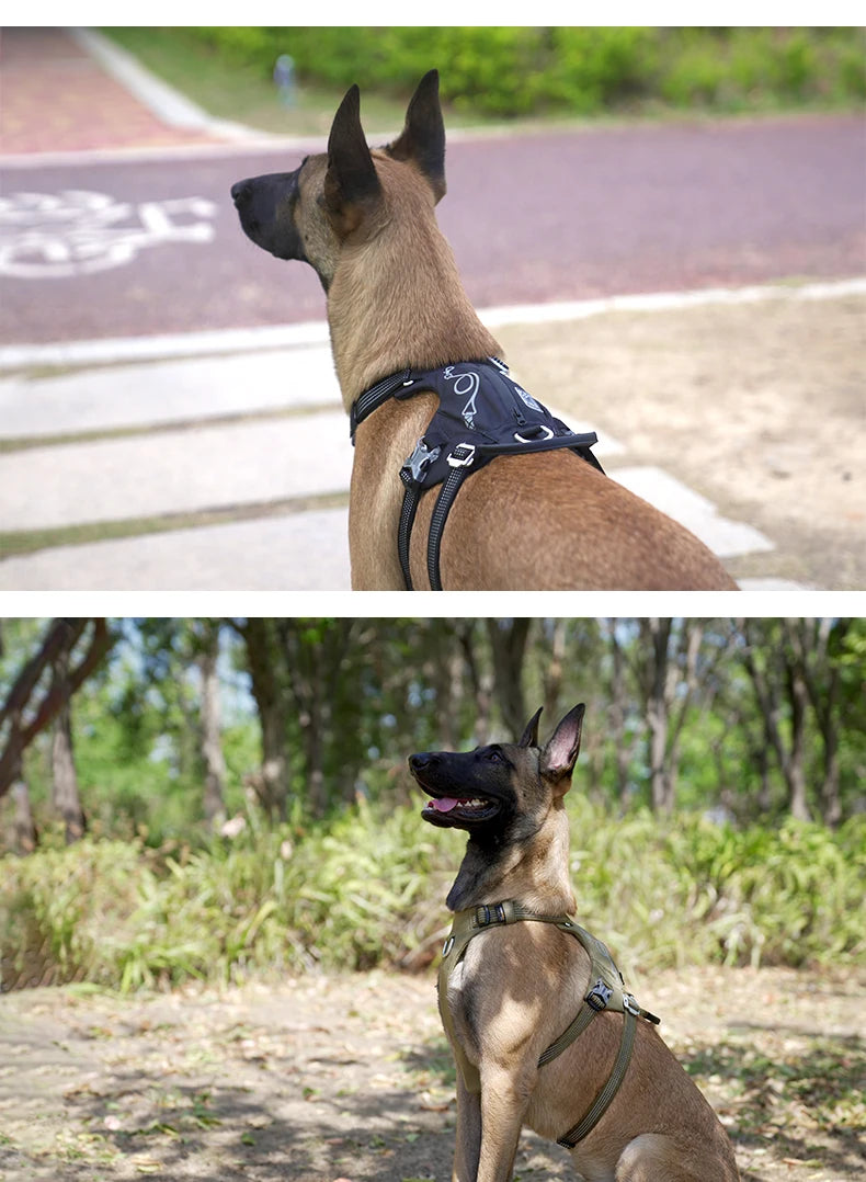 Escape-Proof Tactical Dog Harness with Storage Pocket – Adjustable Training & Outdoor Vest