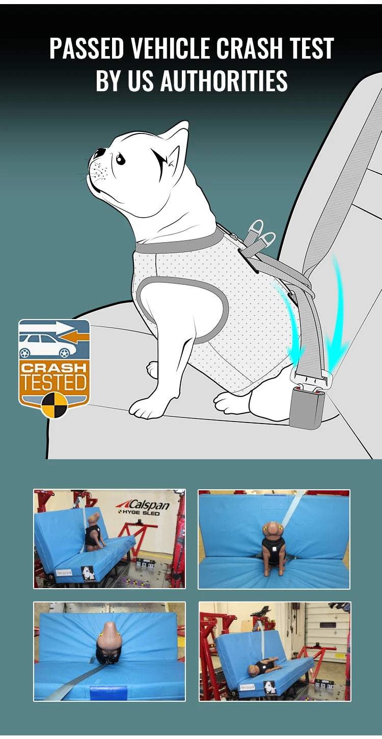 Dog Car Safety Harness Vest – Adjustable, Breathable & Crash-Secure Travel Harness