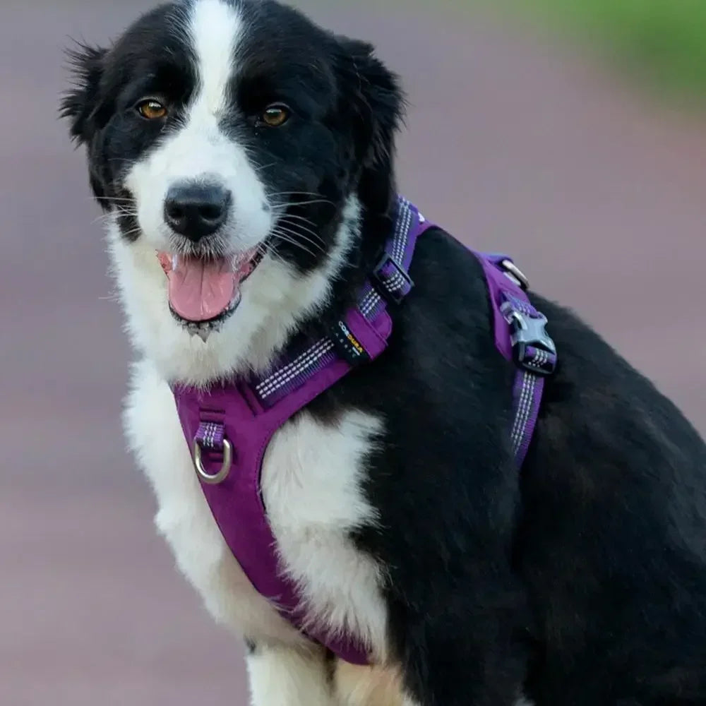 Ultra-Light Reflective Dog Harness – Waterproof, Escape-Proof & Durable for Small to Large Dogs