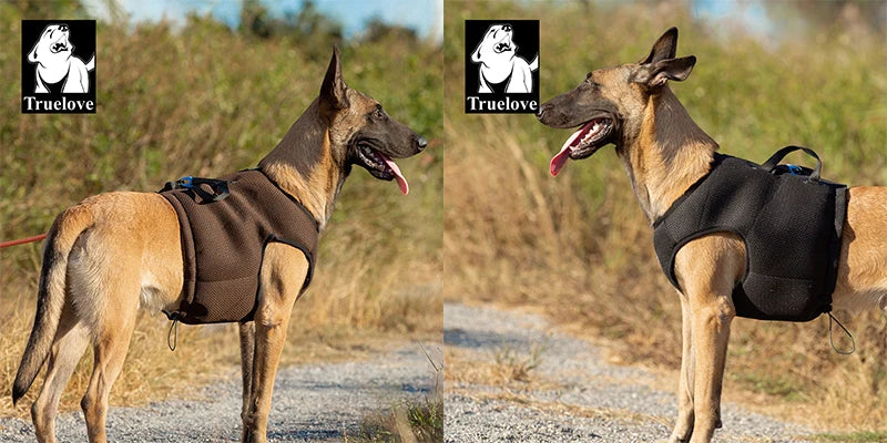 Dog Car Safety Harness Vest – Adjustable, Breathable & Crash-Secure Travel Harness
