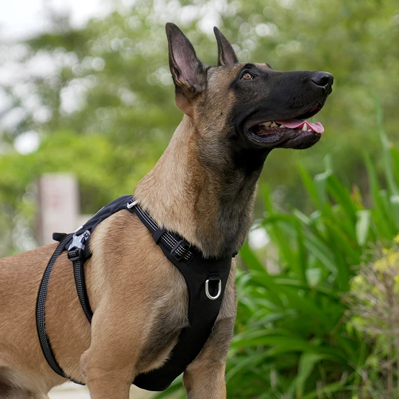 Escape-Proof Tactical Dog Harness with Storage Pocket – Adjustable Training & Outdoor Vest