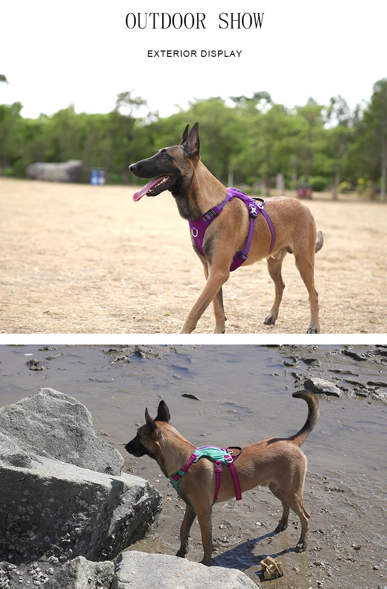 Escape-Proof Tactical Dog Harness with Storage Pocket – Adjustable Training & Outdoor Vest