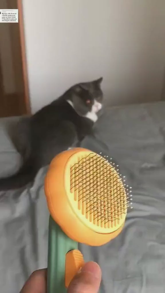 Self-Cleaning Cat Grooming Brush – One-Click Deshedding & Massage Comb for Cats